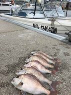 fishing boat hire melbourne