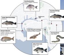 fhsing spots melbourne