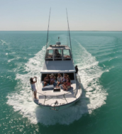 boat charter on the yarra