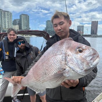 boat hire fishing for snapper