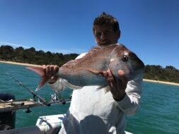 Boat Hire Fishing Snapper